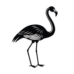 Flamingo standing on one leg with curved neck