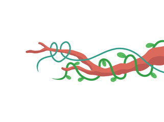 Hanging Vines or Tropical Jungle Liana Tree Branch Vines
