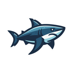 Fototapeta premium shark illustration design