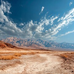 Naklejka premium Desert Vista: A stunning panorama unveils the vastness of a desert landscape, featuring a winding trail leading towards majestic mountain ranges under a sky of dramatic cloud formations.