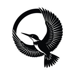 Kingfisher bird diving down in an arc with wings partially folded