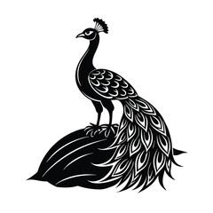 Majestic peacock standing tall with flowing tail feathers