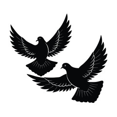 Two doves circling in flight side profile