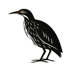 Bittern bird camouflaged silhouette standing in reeds