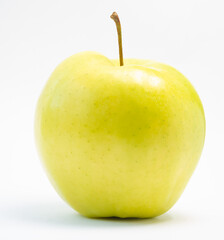 Large ripe green apple