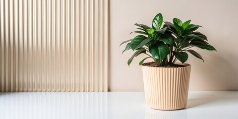 Green palm with reeded glass. Ribbed Background. Summer concept with blurred luxury wall. White Reeded Glass. Zen-inspired empty design with realistic blank space. Plant leaves.