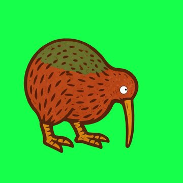 Cartoon kiwi bird illustration animation, transparent 4K video, green screen