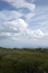 Obraz premium 夏の終わり、青空の下でススキが風に揺れる霧ヶ峰高原。澄んだ空気と広がる草原が、秋の気配を感じさせます。