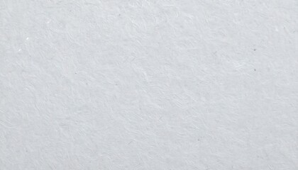 Fototapeta premium Light gray textured surface