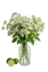 Obraz premium Fresh white daisies in a glass vase with green limes, perfect for decoration or summer themes.