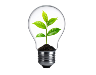 Conceptual Eco Energy Light Bulb with Leafy Plant PNG Cutout