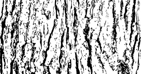 Tree bark texture