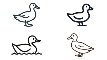 Four line art ducks in various poses, minimalist, simple drawings of the aquatic birds