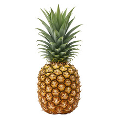 Fototapeta premium A whole ripe pineapple isolated on transparent background