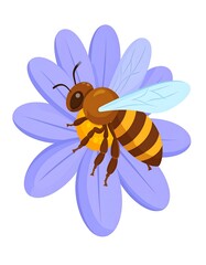 Honeybee on a purple flower