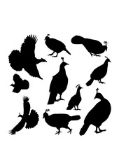 Himalayan monal bird silhouettes