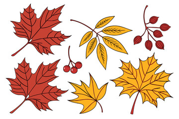 Fototapeta premium Autumn Leaves Set – Vector PNG & Vector File, Transparent Background