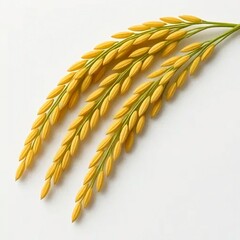 ear of wheat