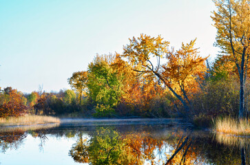 autumn trees reflected in water