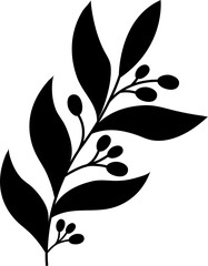 olive branches silhouette on white background