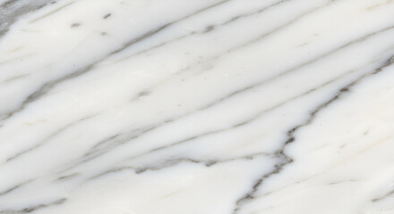 Obraz premium Delicate Veins in Elegant Carrara Marble Stone Texture Background