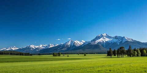 Majestic Mountainscape: A breathtaking panorama unfolds, showcasing snow-capped peaks piercing a vivid azure sky, complemented by a vast, verdant landscape in a natural splendor.