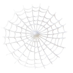 Fototapeta premium A delicate. intricately woven spider web displayed against a bright background. the artistry of nature. perfect for illustrating themes of beauty. fragility. and the natural world