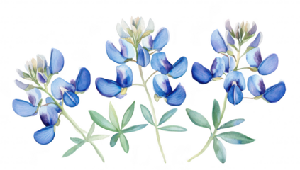 A beautiful watercolor illustration of bluebonnet flowers arranged elegantly. their blue hues and delicate green leaves. ideal for nature-themed designs or prints