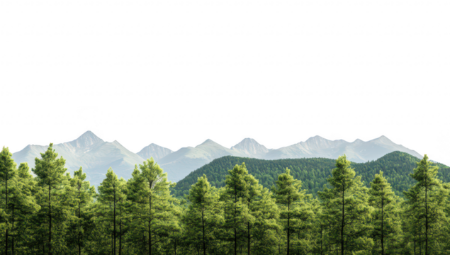 Lush green pine forest with majestic mountains in the background under a clear sky. capturing the essence of natures tranquility and ideal for outdoor adventure themes