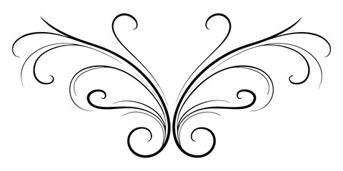 Elegant black swirl flourish ornament with curled filigree on white background