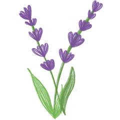 bouquet of flowers