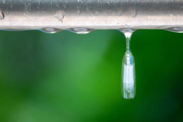 雨に濡れた棒から落ちる水滴