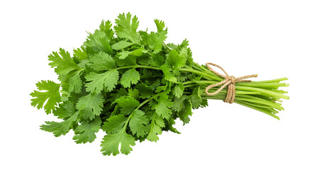 parsley isolated on white background