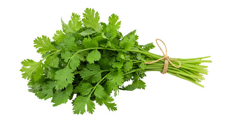 bunch of fresh parsley