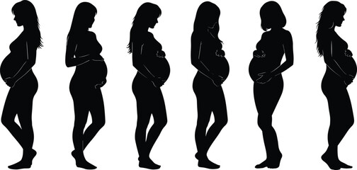 A set of six silhouettes showing the stages of a pregnant woman's body, illustrating the transformation of pregnancy and maternity on a white background.