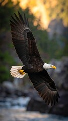 Obraz premium Majestic eagle soaring above a river