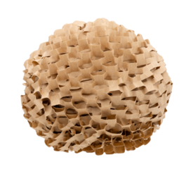 Brown crumpled honeycomb paper isolated on transparent background.