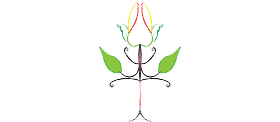 green plant isolated on white background