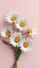 Obraz premium Delicate Daisies: A Pastel Pink Bouquet of Six White Flowers