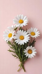 Obraz premium Delicate Daisy Bouquet: White Petals and Golden Centers on Pink Background