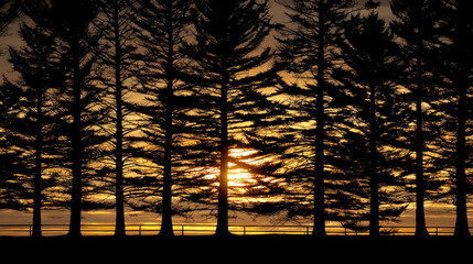 Silhouetted trees against vibrant sunset create stunning contrast, showcasing nature beauty. warm hues of orange and yellow blend seamlessly with dark outlines of trees, evoking sense