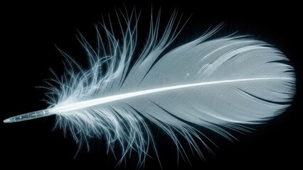 Obraz premium A delicate white feather with glowing, ethereal light strands, on a black background.