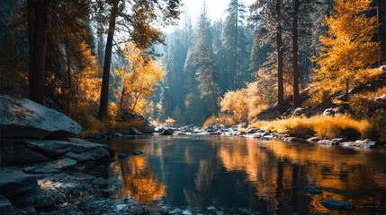 Obraz premium Autumn scene a river flows through a forest, with trees displaying vibrant yellow leaves