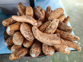 Pile of raw Cilembu sweet potatoes or ubi cilembu in a basket at street food stall. Indonesian local yam known for honey-like sweetness when roasted