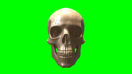 Photorealistic Human Skull on Green Screen.
A highly detailed, photorealistic 3D rendering of a human skull, set on a solid green background for easy compositing. Perfect for projects.