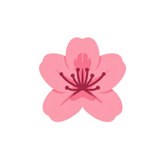 Fototapeta premium Delicate pink cherry blossom evokes spring's beauty, perfect for branding, invitations, and designs celebrating nature's gentle renewal