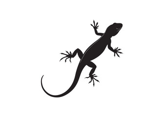 Naklejka premium Reptile silhouette icon, black lizard gecko vector isolated on clean white background.