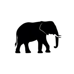 Elephant vector silhouette illustration on white background