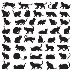 Fototapeta premium set of pets