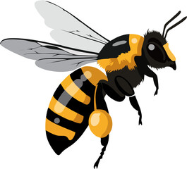 Realistic Flying Honey Bee Vector Illustration – Detailed Pollinator Insect Art